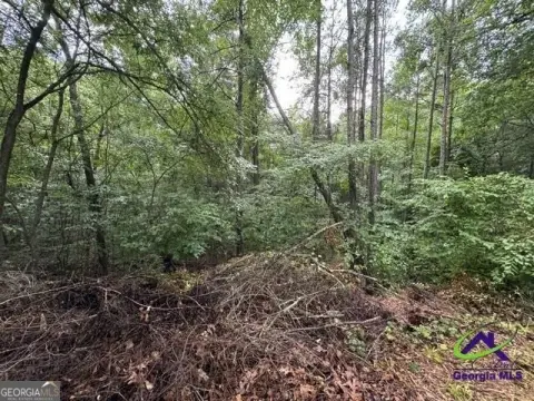 Residential Homesite
