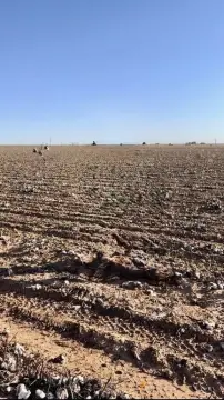 Land in Ropesville, Texas