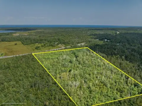 Wooded Recreational Land