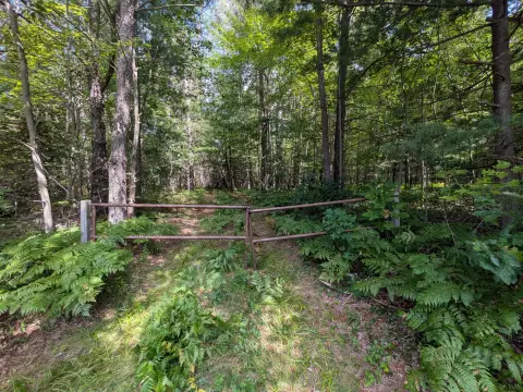 Hunting Land with Established Trails