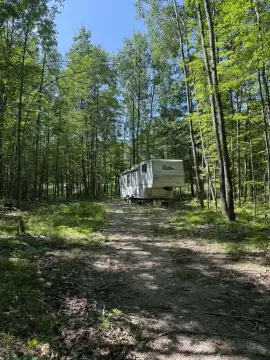 Wooded Hunting Land with Camper