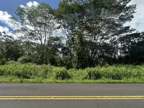 One Acre Lot in Pahoa