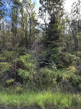 Wooded Lot in Volcano, HI