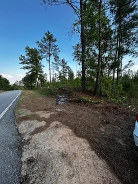 Untouched Land Near Downtown