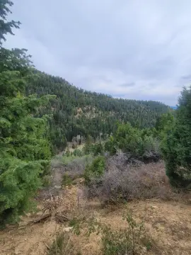 Duck Creek Land on Cedar Mountain