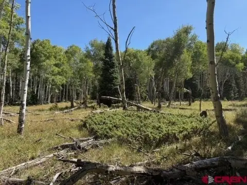 Treed Lot in Arrowhead Subdivision