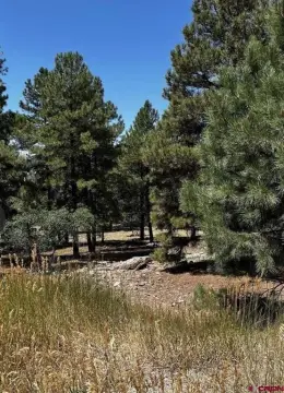 Residential Lot in Pagosa Springs