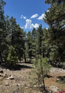 Residential Lot in Pagosa Springs