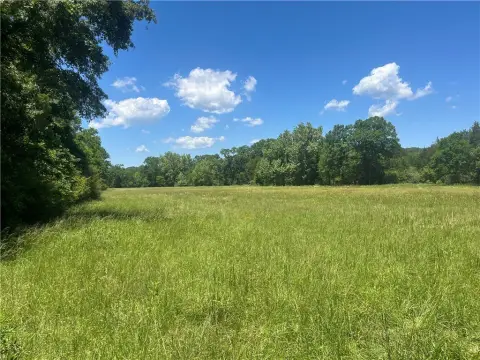 Secluded Acreage with Creek
