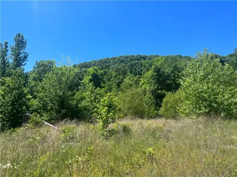 Land with Hardwood Trees