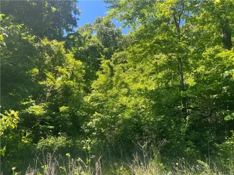 Land with Hardwood Trees