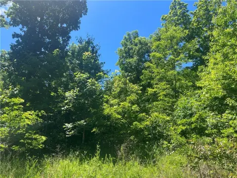 Land with Hardwood Trees