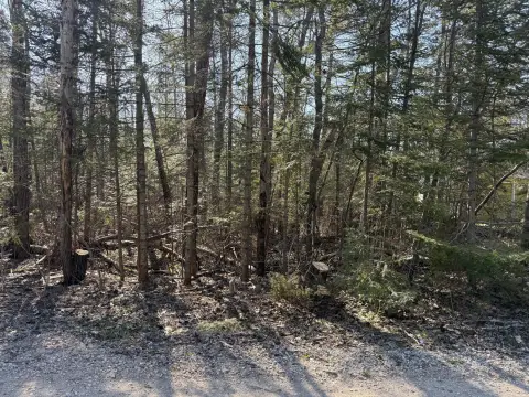 Vacant Lot Near Lake Huron