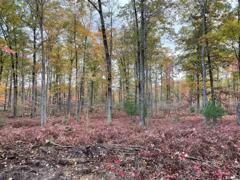 Residential Land Near Two Lakes