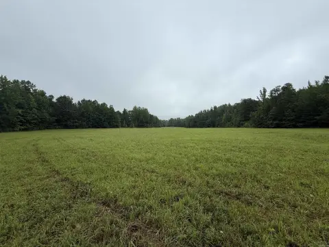 Recreational Hunting Land with Creeks