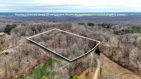 Wooded Acreage in Henry County