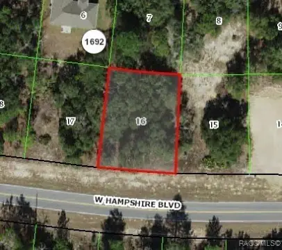 Citrus Springs Quarter-Acre Homesite