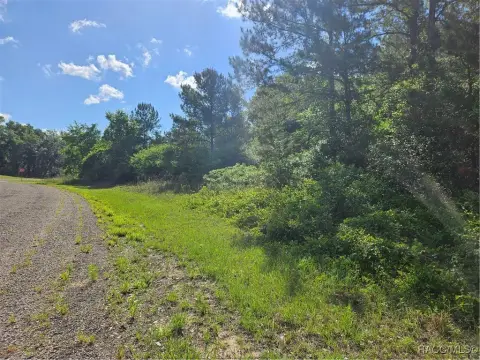 Citrus Springs Land For Sale