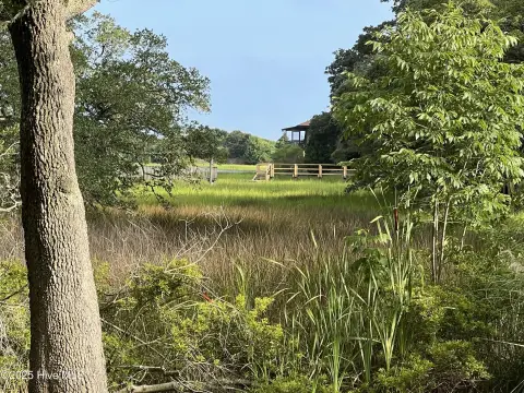 Land Near Intracoastal Waterway