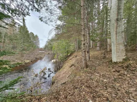 Land by Sand River Campsite