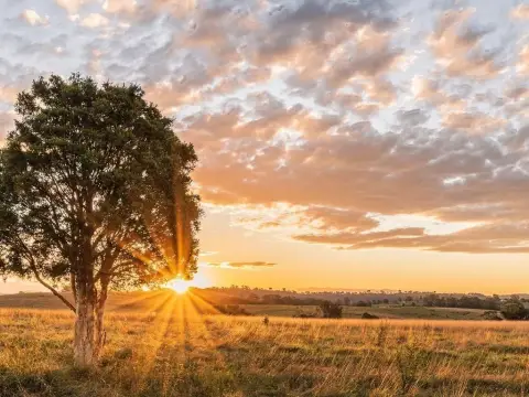 Cat Spring Acreage Homesite Opportunity