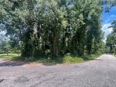 Residential Land in Baldwin Woods