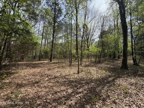 Loudon, TN Acreage for Sale
