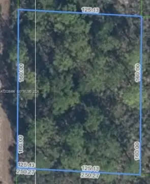 Residential Land in Lake Placid