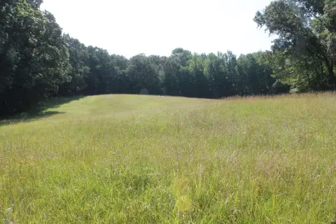 Wooded Recreational Land with Road Frontage
