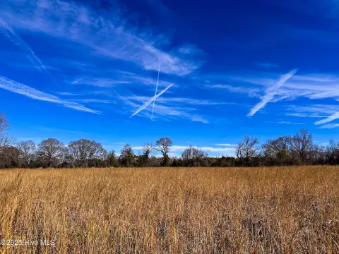 Lumberton Land Ideal for Farming