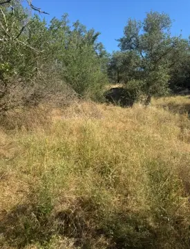 Yosemite Lakes Park Corner Lot