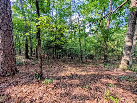 Wooded Recreational Land Tract