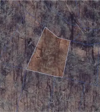 Bella Vista Investment Lot
