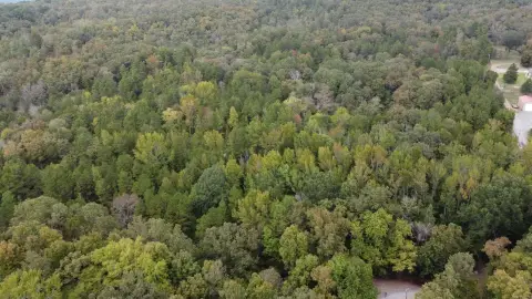 Acreage with Multiple Building Sites