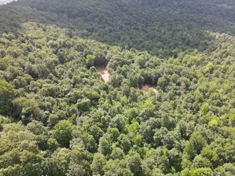 Hunting Land with Ponds and Trails