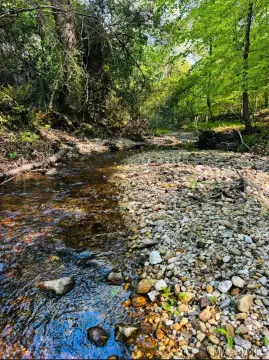 Wetumpka Acreage Homesite Opportunity