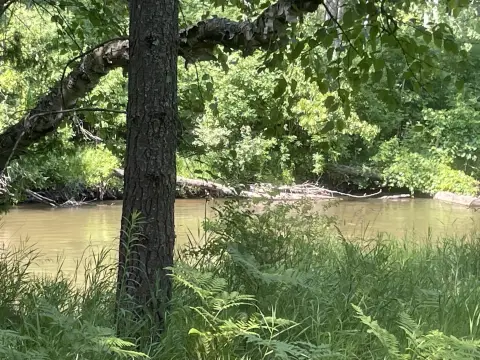 Wooded Lot Near Thunder Bay