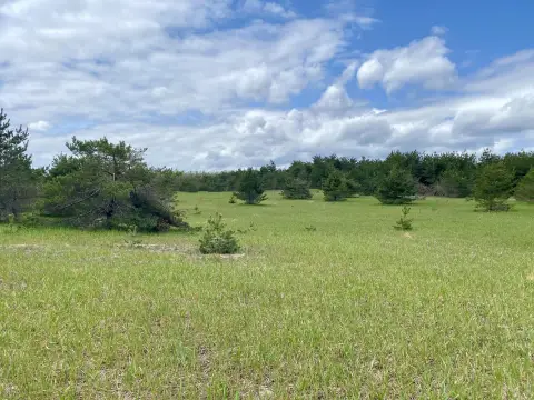 Development Land Near Gaylord