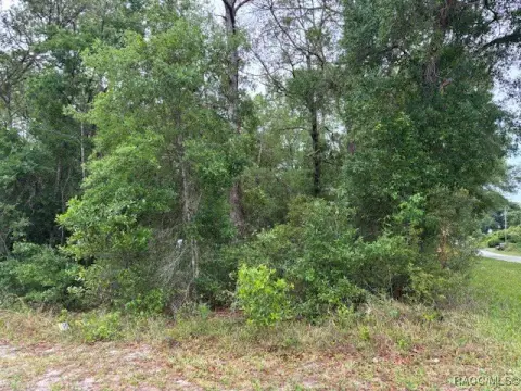 Corner Lot in Inverness, FL