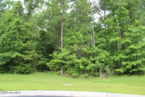 Residential Lot in Palmetto Creek