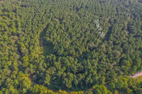 Frankston, TX Unimproved Land Tract