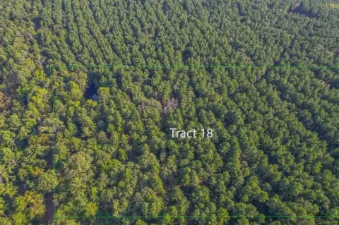 Unimproved Land in Frankston, TX