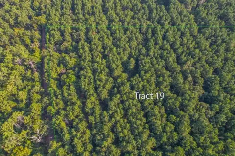 Frankston, TX Unimproved Land