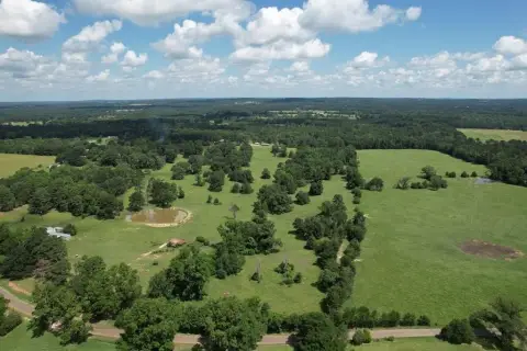 Ranch with Spring-Fed Ponds