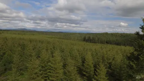 Recreational Land Parcel