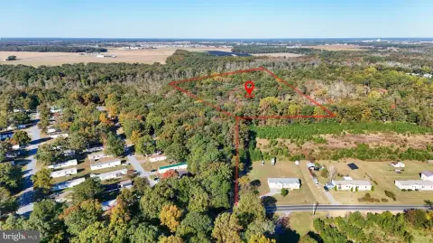 Wooded Hunting Land