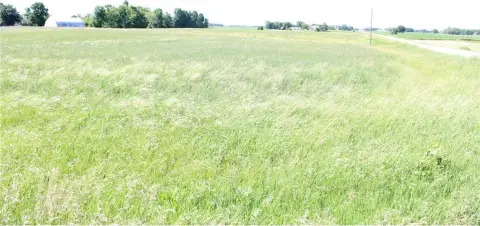 Agricultural Land Corner Parcel