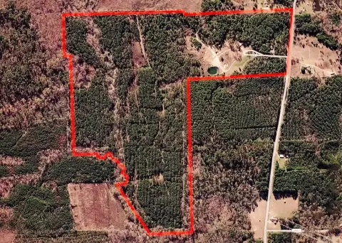 Timbered Agricultural Land with Cabin