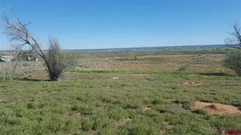 32.4 Acres in Cortez, CO