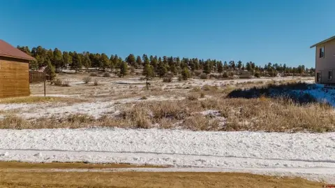 Level Lot in Pagosa Springs